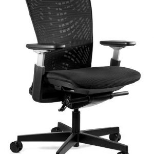 Fotel ergonomiczny, biurowy, mikrosiatka, Reya, czarny