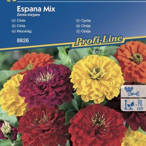 Cynia 'Espana' – Mix – Kiepenkerl