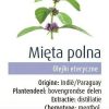 OLEJEK ETERYCZNY MIĘTA POLNA BIO 10 ml - PHYSALIS