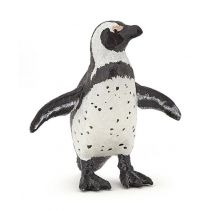 Pingwin afrykański