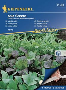 Sałata. Azjatycka 'Asia. Greens '– Kiepenkerl