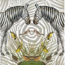 Karnet kwadrat z kopertą Zebra