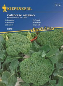Brokuł 'Calabrese natalino' – Tradycyjny – Kiepenkerl