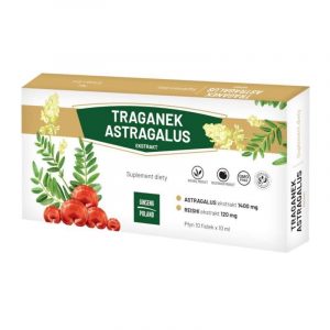 Traganek. Astragalus ekstrakt 10x10ml (fiolki) GINSENG POLAND
