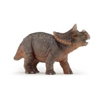 Triceratops młody
