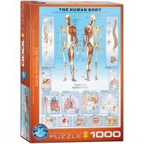 Puzzle 1000 el. The. Human. Body 6000-1000 Eurographics