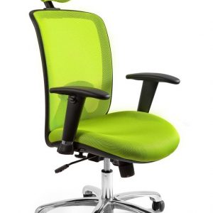 Fotel biurowy, ergonomiczny, Expander, zielony