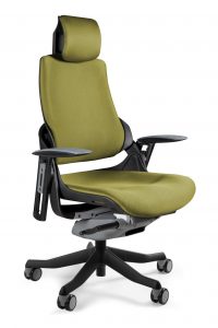 Fotel gabinetowy, ergonomiczny, Wau, BL411, olive, czarny