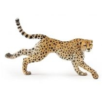 Gepard grzywiasty biegnący