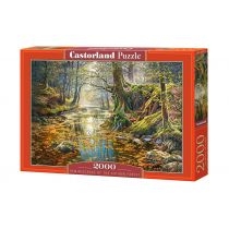Puzzle 2000 el. Wspomnienie z jesiennego lasu. Castorland
