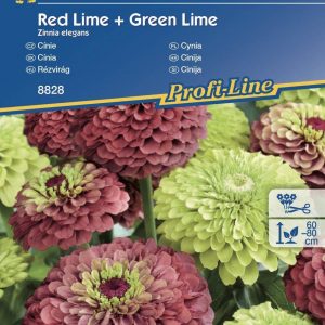 Cynia 'Red. Lime' + 'Green. Lime' – Kiepenkerl