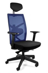 Fotel biurowy, ergonomiczny, Tune, czarny, niebieski