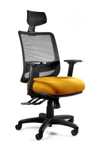 Fotel ergonomiczny do biura, Saga. Plus, honey