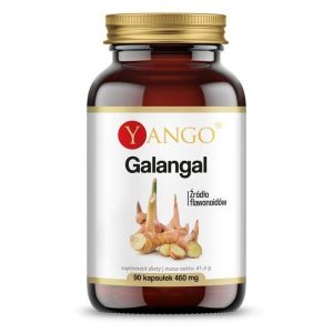 Galangal - ekstrakt (90 kaps.)
