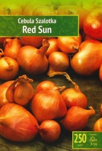 Cebula. Szalotka 'Red. Sun' – Czerwona – 250 g[=]