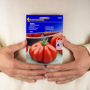 Pomidor. Mięsisty 'Deko' F1 – Kiepenkerl