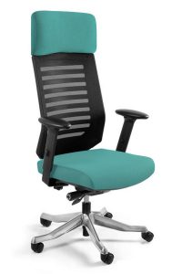 Fotel ergonomiczny do biura, Velo, tealblue