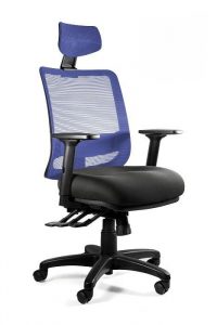 Fotel ergonomiczny do biura, Saga. Plus, niebieski
