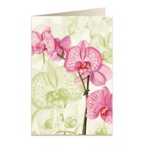 Tassotti. Karnet. B6 + koperta 5722 Różowa orchidea