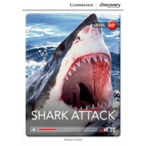 CDEIR A2+ Shark. Attack