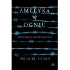 Ameryka w ogniu