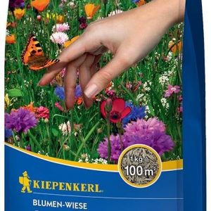 Kwiaty + Zioła + Trawy – Łąka. Kwiatowa – 1 kg. Kiepenkerl