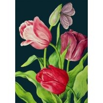 Karnet. B6 z kopertą Tulipany nocą