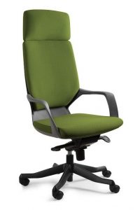 Fotel, krzesło biurkowe, Apollo, czarny, olive