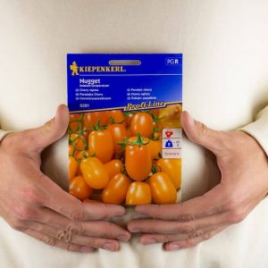 Pomidor 'Nugget' F1 – Cherry – Kiepenkerl