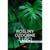 Rośliny ozdobne z liści. Poradnik praktyczny