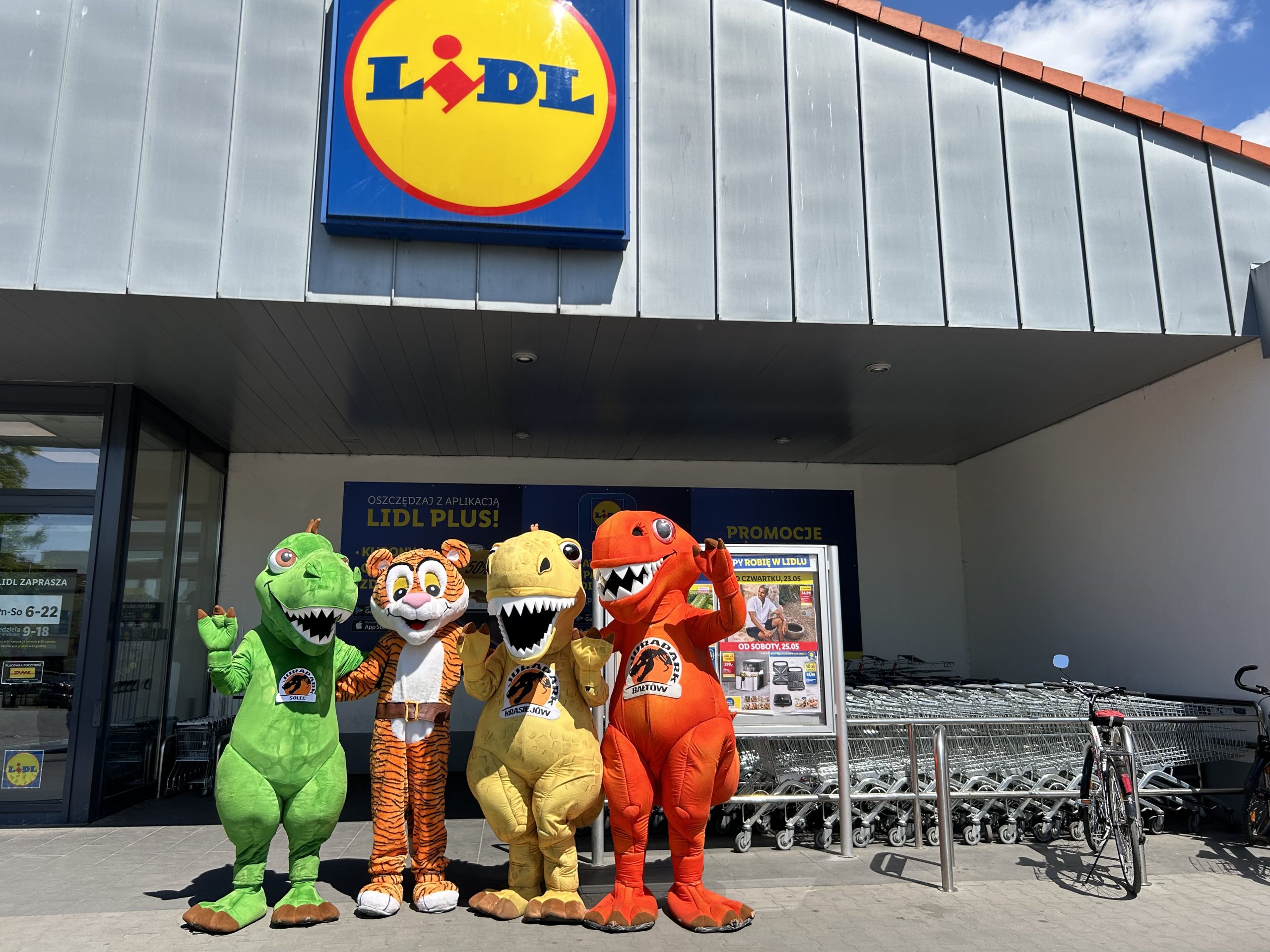 Tygryski i Dinozaury – łączą siły z myślą o dzieciach i całych rodzinach! Zdjęcie przed sklepem Lidl