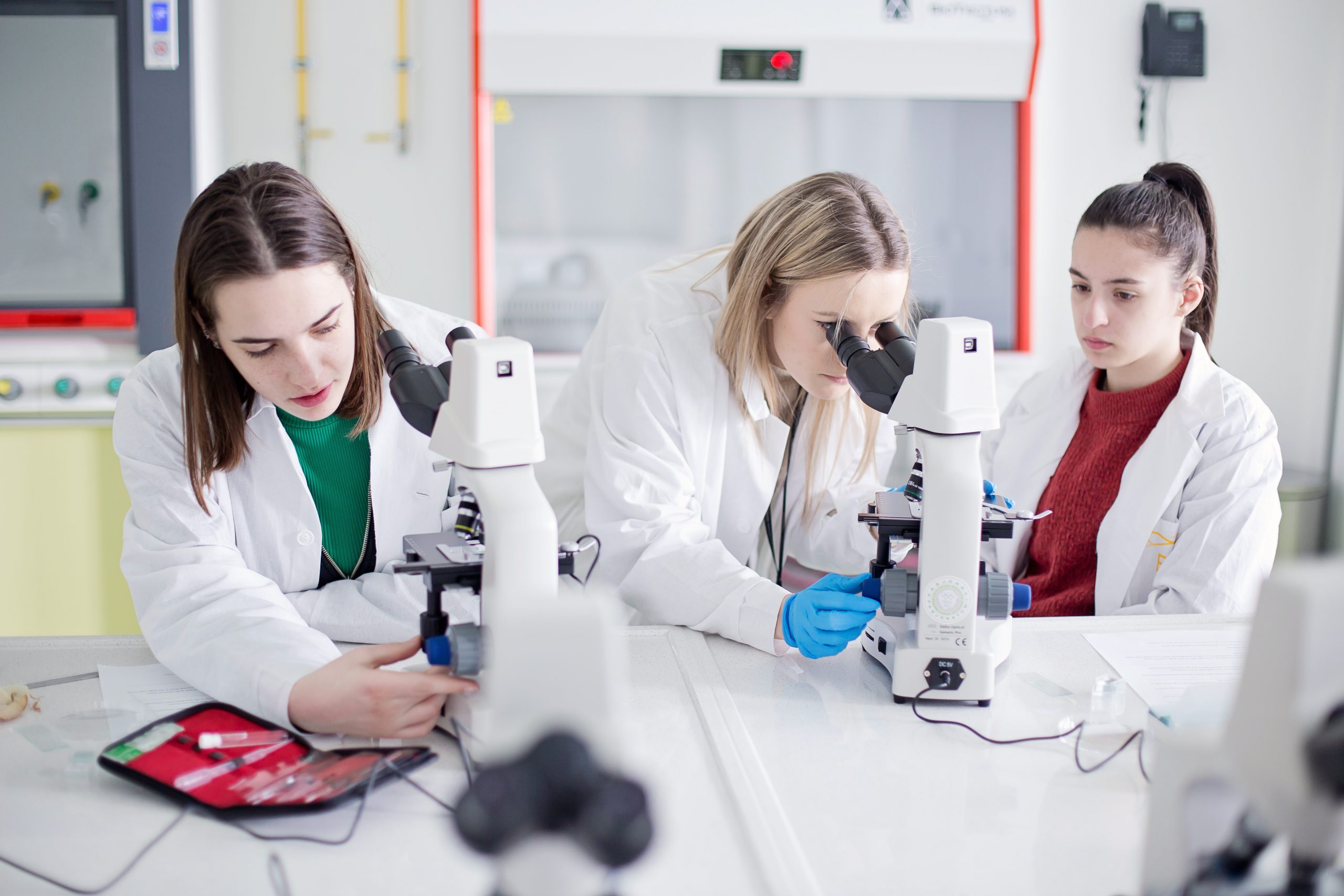 PCN_pracownia_BiolEko_fot_Magdalena_Tobiasz_Dawidowicz (5)