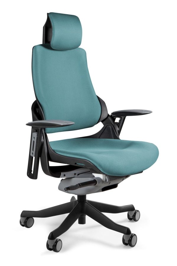 Fotel gabinetowy, ergonomiczny, Wau, BL413, tealblue, czarny