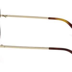 Okulary WEB EYEWEAR WE0219-52Z. Okulary przeciwsłoneczne, Kolor złoty. Kobieta.