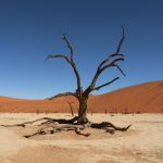 Od lat nie było tak źle z poziomami rzek wiosną