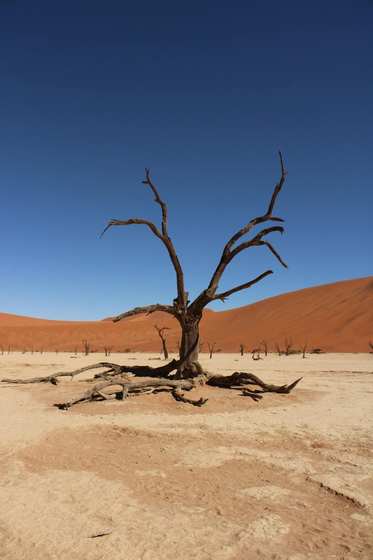 Od lat nie było tak źle z poziomami rzek wiosną