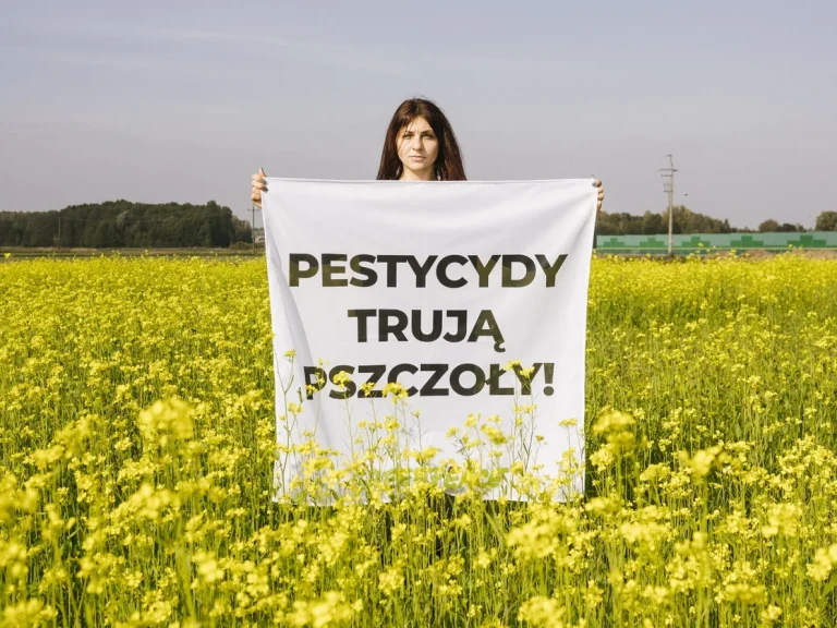 Pestycydy w polskich miodach