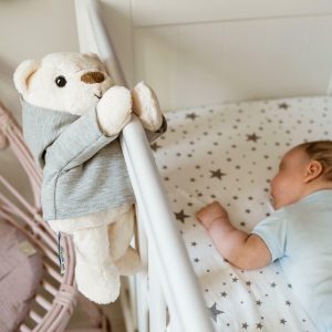 Whisbear - Szumiący Miś Julek