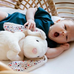 Whisbear - Szumiący Króliś Felcia