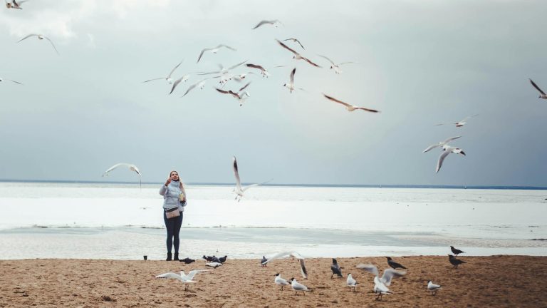 Hel – polskie Malediwy, nie tylko na wakacje Apartamenty w Helu zyskują coraz większą popularność