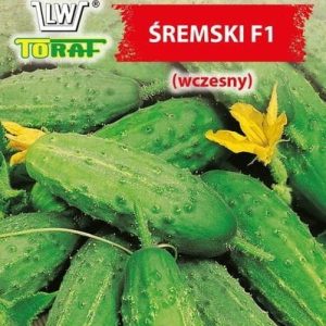 Ogórek Śremski F1 nasiona 5g - TORAF
