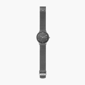 Zegarek SKAGEN SKW6624. Kwarcowy, Kolor szary. Mężczyzna.