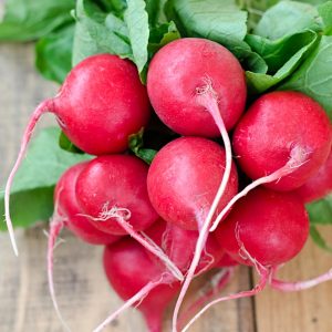 Rzodkiewka Carmen nasiona 10g - Raj Ogrodnika