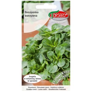 Roszponka Verte De Cambrai nasiona 2g - TORSEED