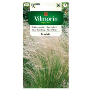 Ostnica cieniutka Ponytails nasiona 0,1g - VILMORIN