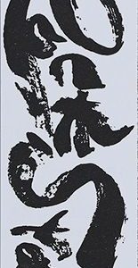 Kamień Shapton ROCK STAR [60517] do ostrzenia o gradacji 6000