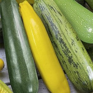 Cukinia Mieszanka Odmian 3g - WegAna
