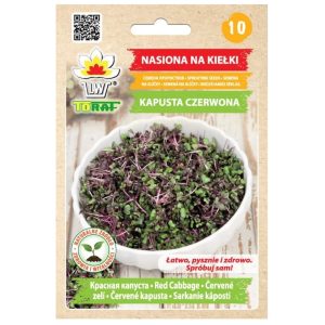 Kapusta czerwona nasiona na kiełki 10g - TORAF