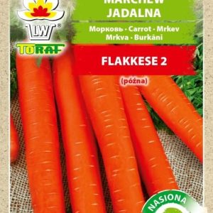 Marchew Flakkese 2 nasiona na taśmie 6m - TORAF
