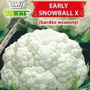 Kalafior Early Snowball X 1g - TORAF
